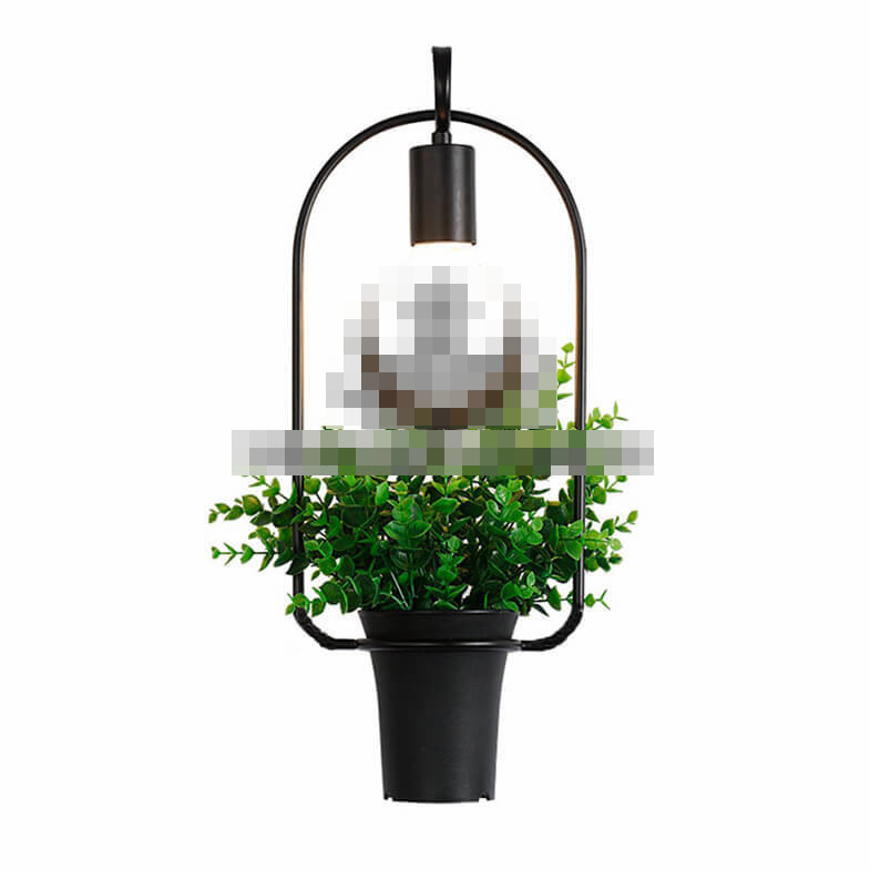 Pvie Lumière